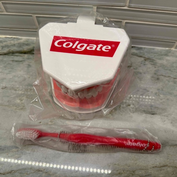 Colgate Large Teeth Educational Model with Brush unopened - Picture 2 of 5